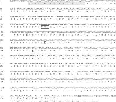 A Novel Legumain-Like Protease in Macrobrachium nipponense: Identification, Characterization, and Function Analysis in Ovary Maturation